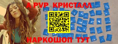 спайс Кингисепп