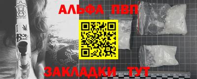 спайс Кингисепп