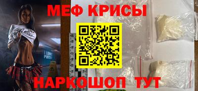 спайс Кингисепп