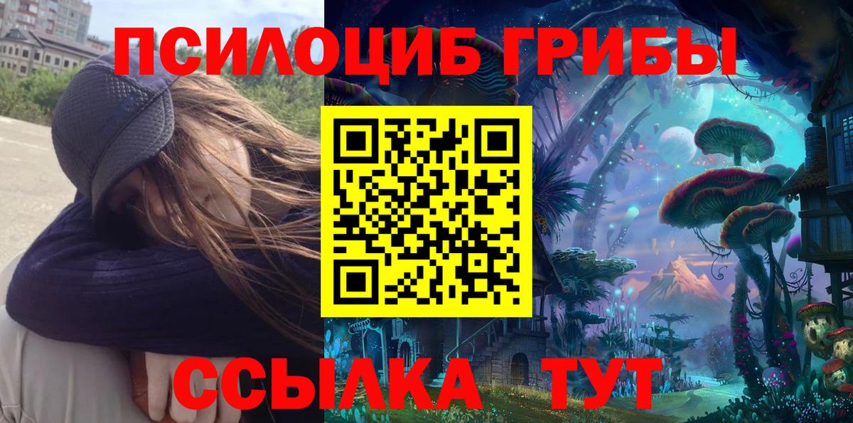 Вязьма  Псилоцибиновые грибы Psilocybine cubensis  Вход с VPN 